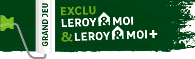 Exclu Leroy Merlin