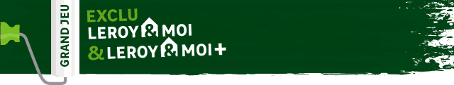 Exclu Leroy Merlin